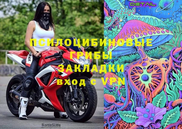 гашик Аркадак