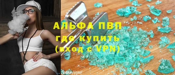 прущие грибы Баксан
