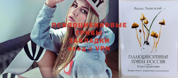 PSILOCYBIN Арсеньев