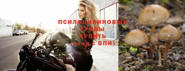 PSILOCYBIN Арсеньев